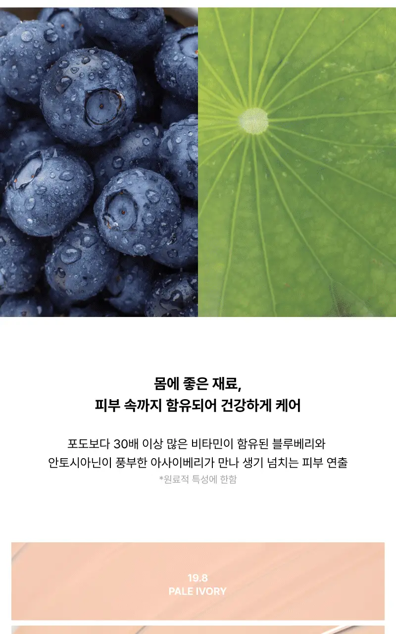 [밀착블러파데/스파츌라일체형] 엔트로피 메이크업 오간자 핏 스파츌라 파운데이션 3 Colors 상세페이지 18